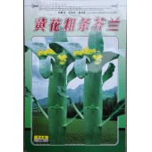 阳春益民 黄花粗条芥兰种子 长势壮旺 少蜡粉 耐湿 品质好 芥兰种子 10克装