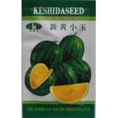 新疆科世达 新黄小玉西瓜种子 极早生 不易裂果 果肉鲜黄 抗病性好 种子 10克装