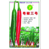 广东粤蔬 粤椒三号种子 广东农科院选育 亩产4500公斤 12-2月,7-8月适播 辣椒种子 10克装