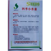 四季小香葱种子 四季常青 耐热耐寒 香葱种子 10克装