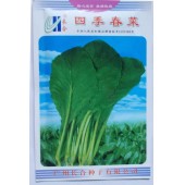 广州长和 揭上甜春菜 四季春菜种子 叶翠绿色 叶肉较厚 生长速度快 春菜种子 20克装