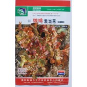 咖啡麦当菜保健菜种子 紫绿色 无纤维 生熟食均可 保健菜种子 5克装
