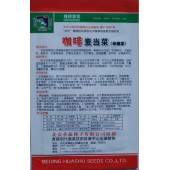 咖啡麦当菜保健菜种子 紫绿色 无纤维 生熟食均可 保健菜种子 5克装