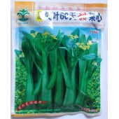 江门利隆种苗 特级尖叶60天甜菜心种子 菜场专用 抗性强 味甜 特别适合出口菜场用 菜心种子 250克装