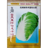 香港天河 50天夏阳白菜新303种子 极早生 抗热耐湿 抗病性好 白菜种子 10克装