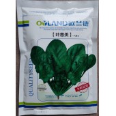 河南欧兰德 叶惠美菠菜种子 耐寒耐热 植株整齐 叶色绿 菠菜种子 300克装