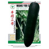 广州旺优 丰硕二号杂交黑皮冬瓜种子 高抗枯萎病炭疽病 瓜长70-100厘米 冬瓜种子 20克装