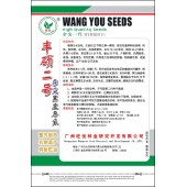 广州旺优 丰硕二号杂交黑皮冬瓜种子 高抗枯萎病炭疽病 瓜长70-100厘米 冬瓜种子 20克装
