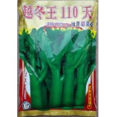 佛山利坚 越冬王110天油青甜菜心种子 播种至初收50-55天 抽苔整齐 菜心种子 400克装