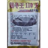佛山利坚 越冬王110天油青甜菜心种子 播种至初收50-55天 抽苔整齐 菜心种子 400克装