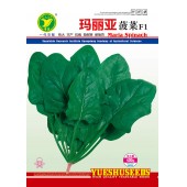 广东粤蔬 玛丽亚菠菜种子 广东农科院选育 中早熟 耐抽苔 产量高 菠菜种子 400克装