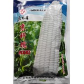 北京燕禾金 京科糯2000糯玉米种子 高产 香甜软糯 抗病抗倒 糯玉米种子 200克装