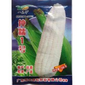广东现代 仲糯1号糯玉米种子 糯玉米单交种 白粒糯玉米 品质极佳 糯玉米种子 200克装