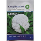 台湾长胜 长胜85天F1青梗松花菜种子 耐寒耐湿 生长强健 产量高 松花菜种子 10克装