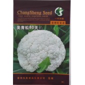 台湾长胜 美青松80天F1青梗松花菜种子 中生 抗病耐湿 株形整齐 松花菜种子 10克装