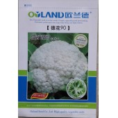 欧兰德 德花90松花菜种子 花梗翠绿 口感柔嫩甜脆 品种上佳 花球松大 松花菜种子 8克装