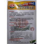 广西强坤 红尖叶油麦生菜种子 红色尖叶油麦菜种子 生菜种子 10克