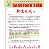 中国农科院 辣优长龙种子 早中熟 生长势强 果长28-37cm 前后期果实均匀一致 辣椒种子 1000粒装