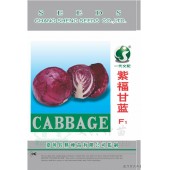 台湾长胜 紫福紫甘蓝种子 早中生 耐热耐湿 定植后70-80天可采收 甘蓝种子 10克装