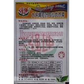 广西强坤 大坪埔短叶包心肉芥菜种子 抗病性强 耐热 耐雨 芥菜种子 15克装