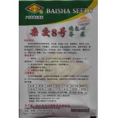 汕头白沙杂交8号晚包心芥菜种子 中迟熟 耐抽苔 抗病 包心芥菜种子 10克装