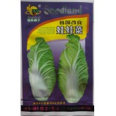 深圳喜良 韩国改良娃娃菜种子 极早熟 生长势强 风味佳 娃娃菜种子 30克装
