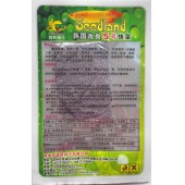 深圳喜良 韩国改良5号快菜种子 生长速度快 抗病力强 快菜种子 30克装