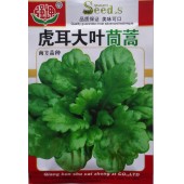 广西强坤 虎耳大叶茼蒿种子 耐热耐寒 纤维少 美味可口 茼蒿种子 15克装
