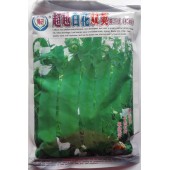 揭阳农友 超越白花双荚荷兰豆种子 早熟 株高约80-110厘米 荷兰豆种子 400克