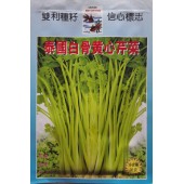 蔡荣成 泰国白骨黄心芹菜种子 抗热耐寒 抗病抗逆 黄心芹菜种子20克装
