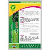 广东粤蔬 12号双青玉豆种子 广东农科院选育 亩产2500公斤 1-2月 8-10月适播 玉豆种子 400克装