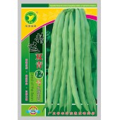 广东粤蔬 12号双青玉豆种子 广东农科院选育 亩产2500公斤 1-2月 8-10月适播 玉豆种子 400克装