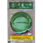 北京中蔬 京丰一号甘蓝种子 中国农科院选育 获国家发明一等奖 甘蓝种子 10克装