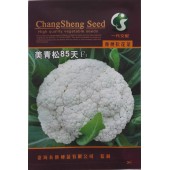 台湾长胜 美青松85天F1青梗松花菜种子 中晚熟 青梗松花 花型美观 品质超群 市场流行 松花菜种子 10克装