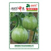 湖南湘妹子 精品嫩早一号南瓜种子 早熟 肉厚 耐寒 南瓜种子 10克装