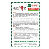 湖南湘妹子 精品嫩早一号南瓜种子 早熟 肉厚 耐寒 南瓜种子 10克装