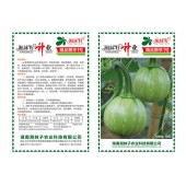 湖南湘妹子 精品嫩早一号南瓜种子 早熟 肉厚 耐寒 南瓜种子 10克装