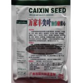 广州阳兴 万家丰尖叶油青甜菜心种子 株形矮壮 美观/纤维少 菜心种子 200克装