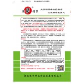 河南豫艺 墨秀三号牛角椒种子 早熟 抗病力强 辣味更浓 牛角椒种子 10克装
