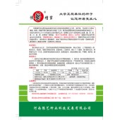 河南豫艺 墨玉新元帅泡椒种子 早熟 薄皮泡椒 果实上下粗细一致 泡椒种子 10克装