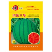河南豫艺 国豫三号西瓜种子 早熟 春大棚专用大果京欣西瓜 瓜个大 条带特别清晰美观 西瓜种子 300粒装
