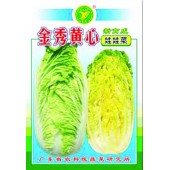 广东粤蔬 金秀黄心娃娃菜种子 广东农科院选育 定植后60天采收 球重1公斤左右 娃娃菜种子 15克