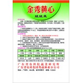 广东粤蔬 金秀黄心娃娃菜种子 广东农科院选育 定植后60天采收 球重1公斤左右 娃娃菜种子 15克