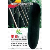 清远清蔬 墨钻730铁心杂交黑皮冬瓜种子  果实炮弹形 瓜型较长 单瓜可达30kg 冬瓜种子 2017年畅销品种 15克装