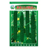广州阳兴 早丰316青瓜种子 春、夏、秋种优良品种 早中熟 抗病性好 青瓜种子 10克装