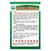 广州阳兴 早丰316青瓜种子 春、夏、秋种优良品种 早中熟 抗病性好 青瓜种子 10克装