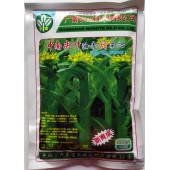 广州广南 中南尖叶油青甜菜心种子 早熟 尖叶 抗热抗雨水  菜心种子 400克装