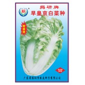 揭阳农友 揭研早皇京白菜种子 早生 热带全年可播 亩产约2000公斤左右 种子 500克装