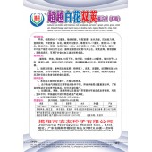 揭阳农友 揭研超越白花双荚荷兰豆种子 早熟 抗病能力强 荷兰豆种子 400克装