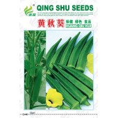 清远清蔬 黄秋葵种子 保健绿色食品 蒴果五棱 秋葵种子 5克装